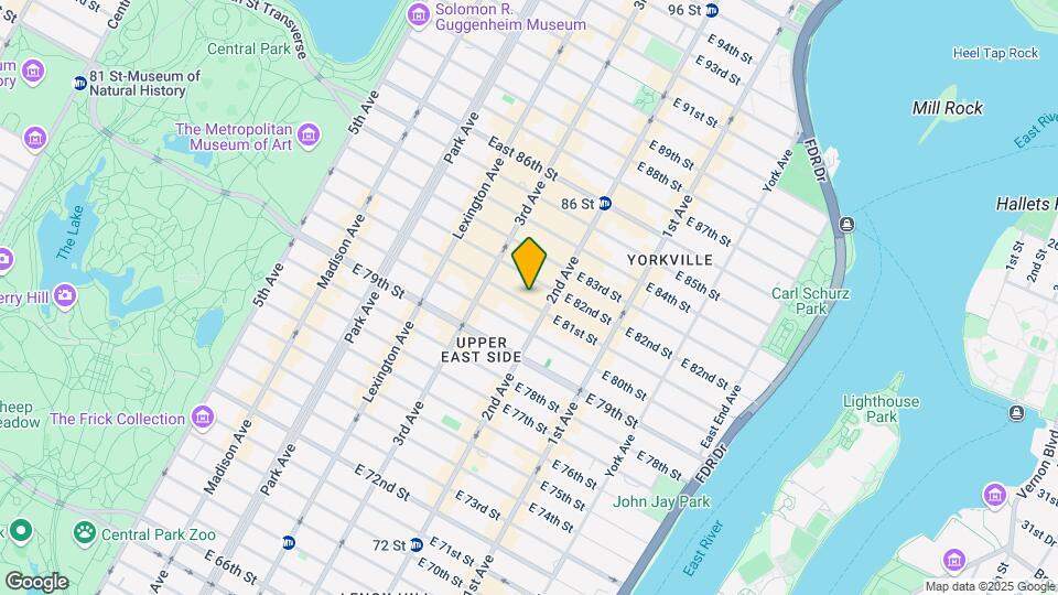 235 E 81st St Mapa y Detalles de la Ubicación