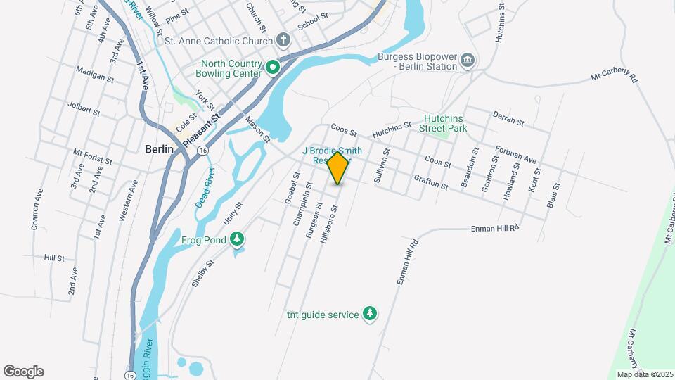 517 Hillsboro St Mapa y Detalles de la Ubicación