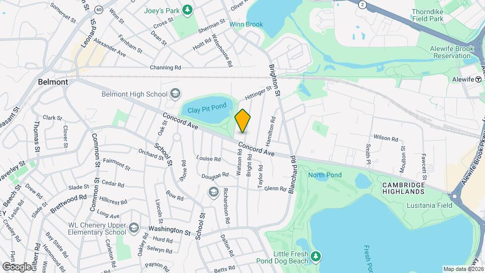 16 Trowbridge St Apartments and Nearby Belmont Apartments For Rent