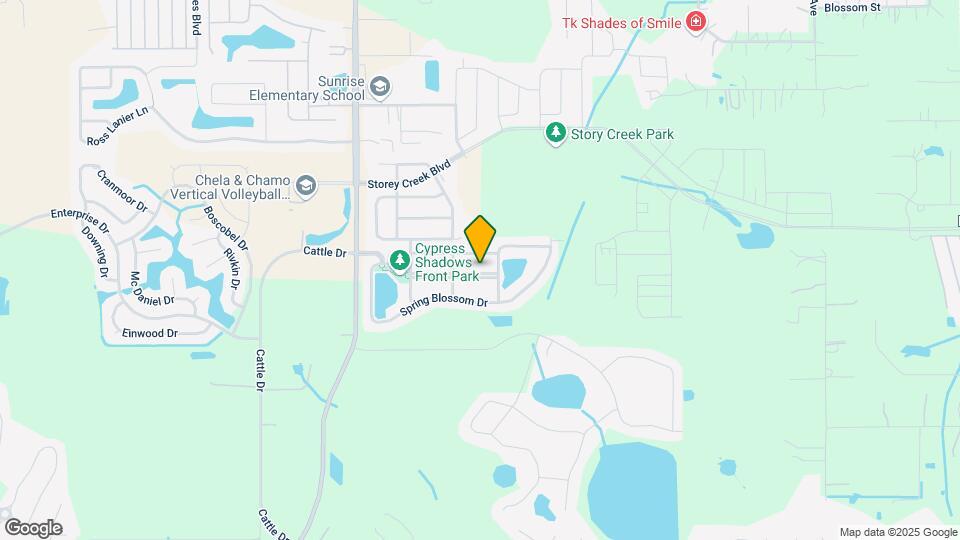 4307 Creeks Run Blvd Map and Location Details