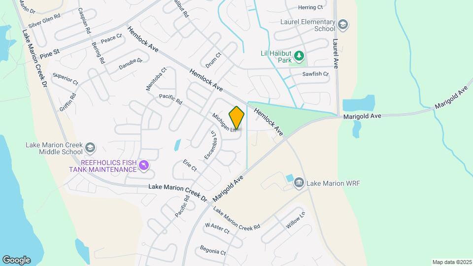 304 Michigan Ln Mapa y Detalles de la Ubicación