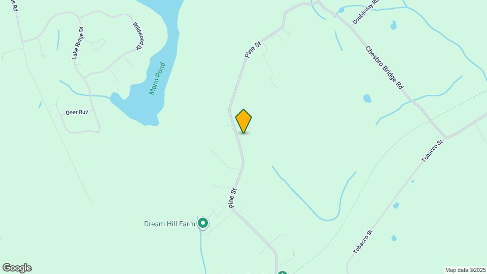 175 Pine St Map and Location Details