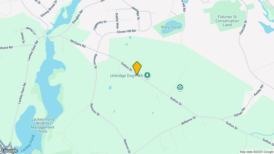 398 Sutton St Map and Location Details