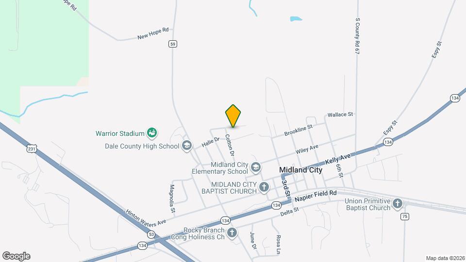 312 Joe Walding Dr Map and Location Details