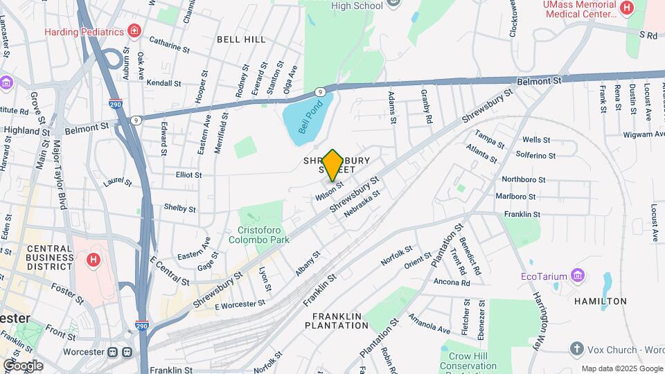 19 Wilson St, Unit 2nd Floor Map and Location Details