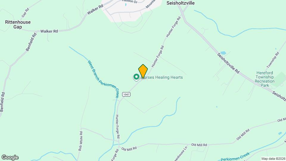 263 Hunter Forge Rd Map and Location Details