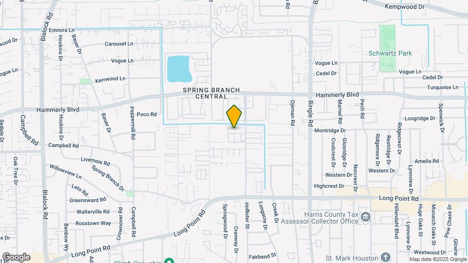 8918 Live Oak Grove Ln Mapa y Detalles de la Ubicación