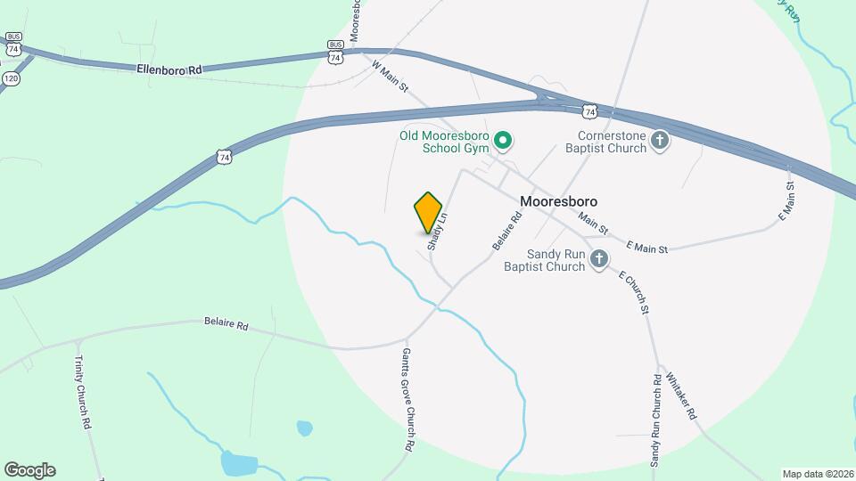 130 Shady Ln Mapa y Detalles de la Ubicación
