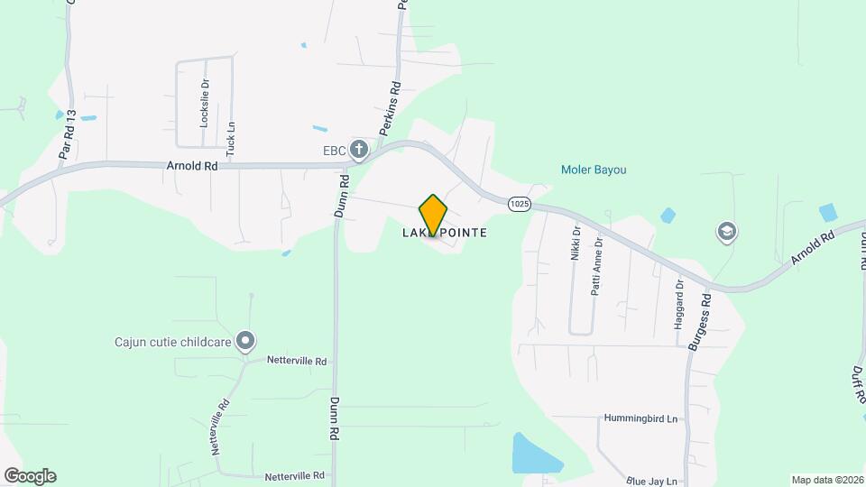 10816 Field Pointe Dr Map and Location Details
