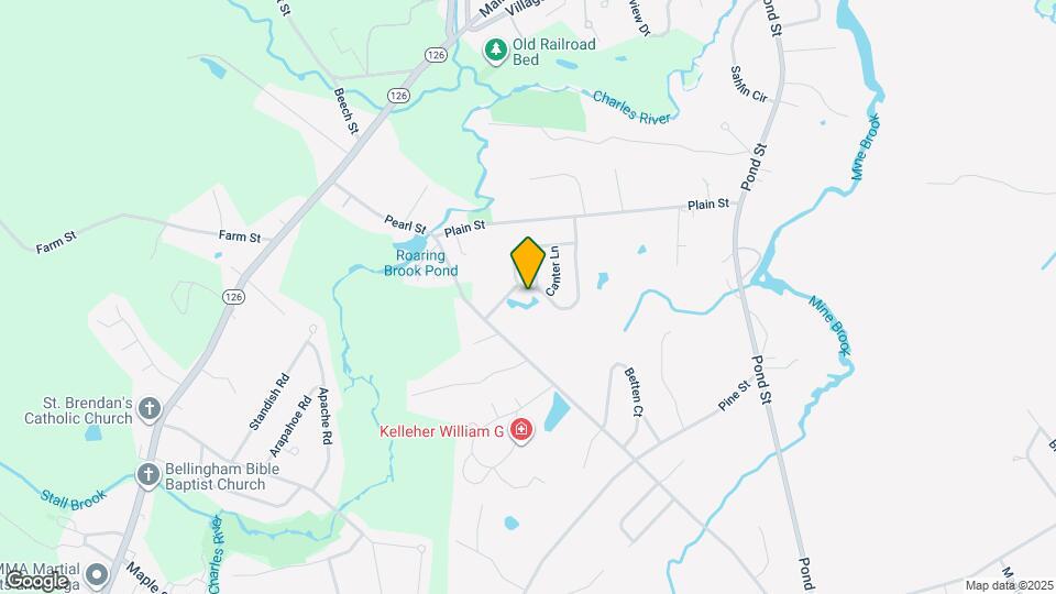 52 Palomino Dr Map and Location Details