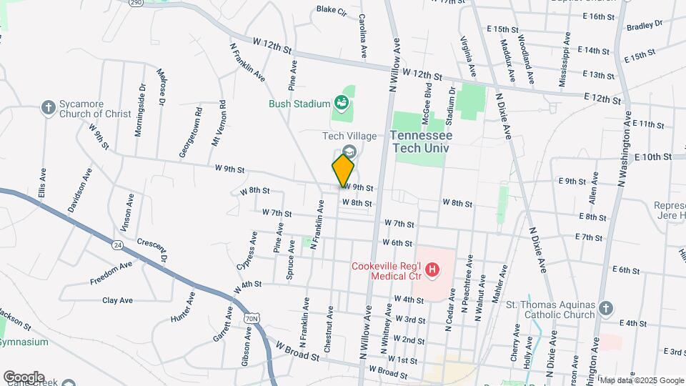 743 Chestnut Ave Mapa y Detalles de la Ubicación