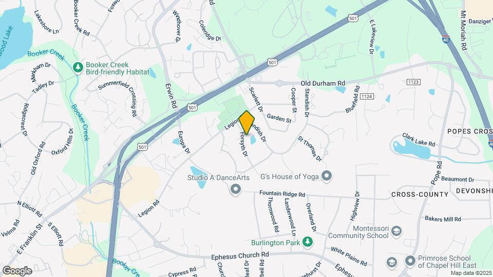 117 Forsyth Dr Map and Location Details