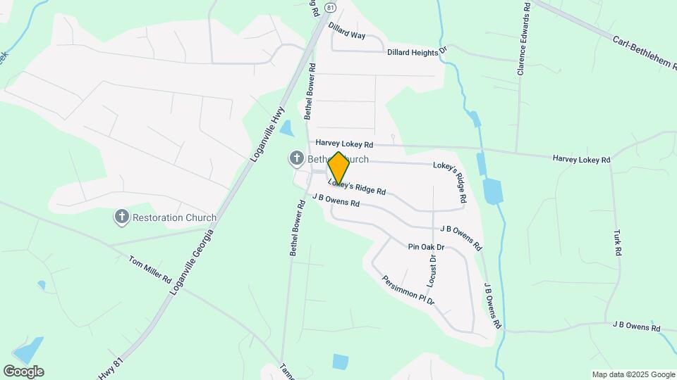 309 Lokey's Ridge Rd Mapa y Detalles de la Ubicación