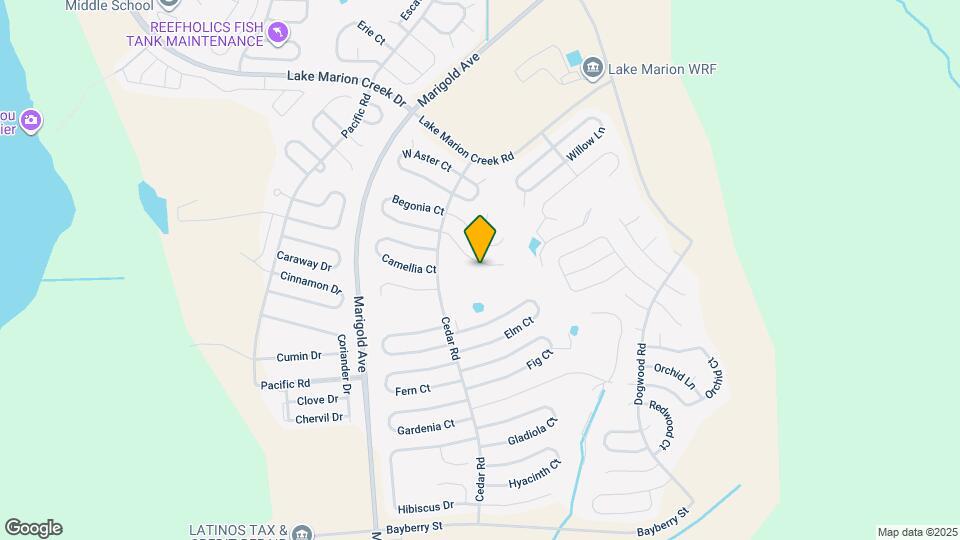 256 Begonia Ln Map and Location Details