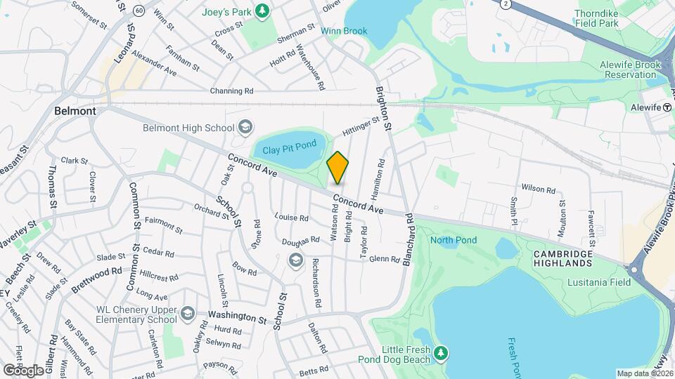 16 Trowbridge St Mapa y Detalles de la Ubicación