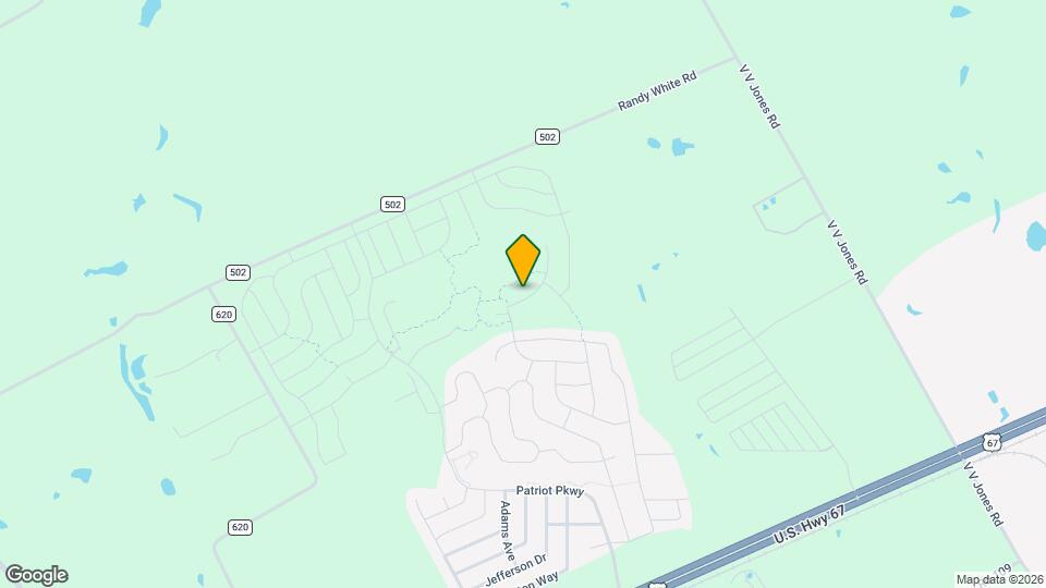 208 Julian Davis Dr Mapa y Detalles de la Ubicación