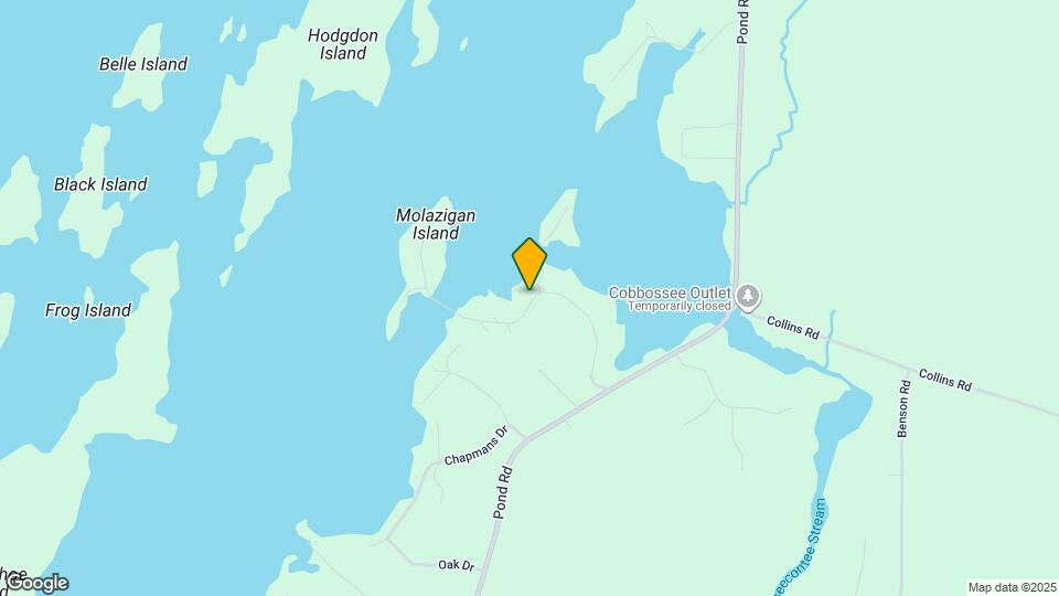 63 Williamson Rd Map and Location Details