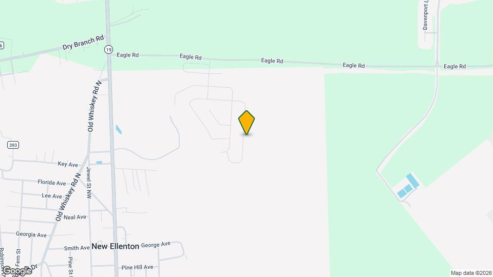 4137 Fringetree Loop Mapa y Detalles de la Ubicación