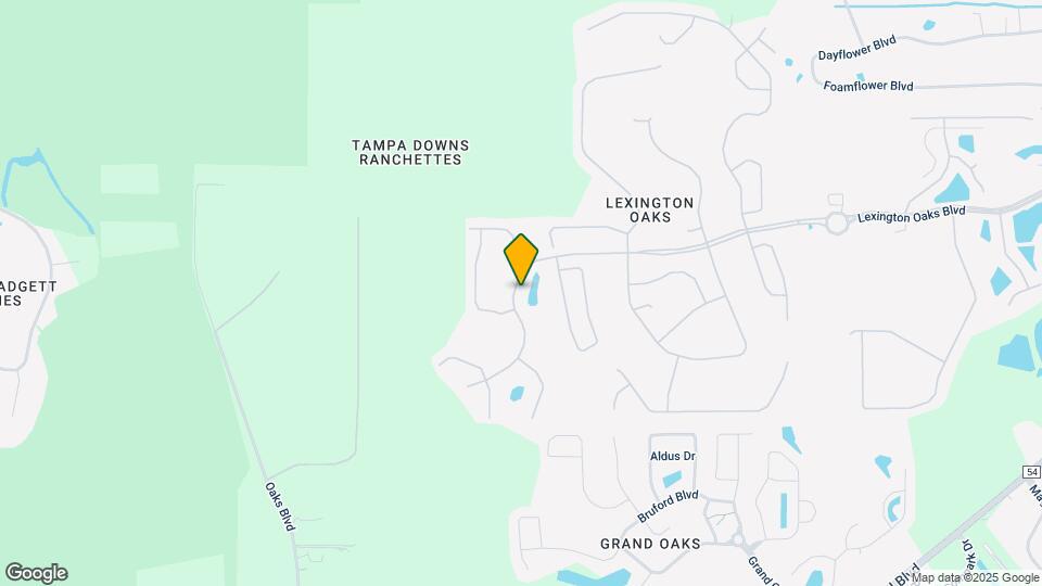 25406 Lexington Oaks Blvd Mapa y Detalles de la Ubicación