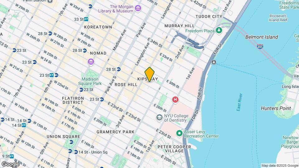 219 E 28th St Mapa y Detalles de la Ubicación