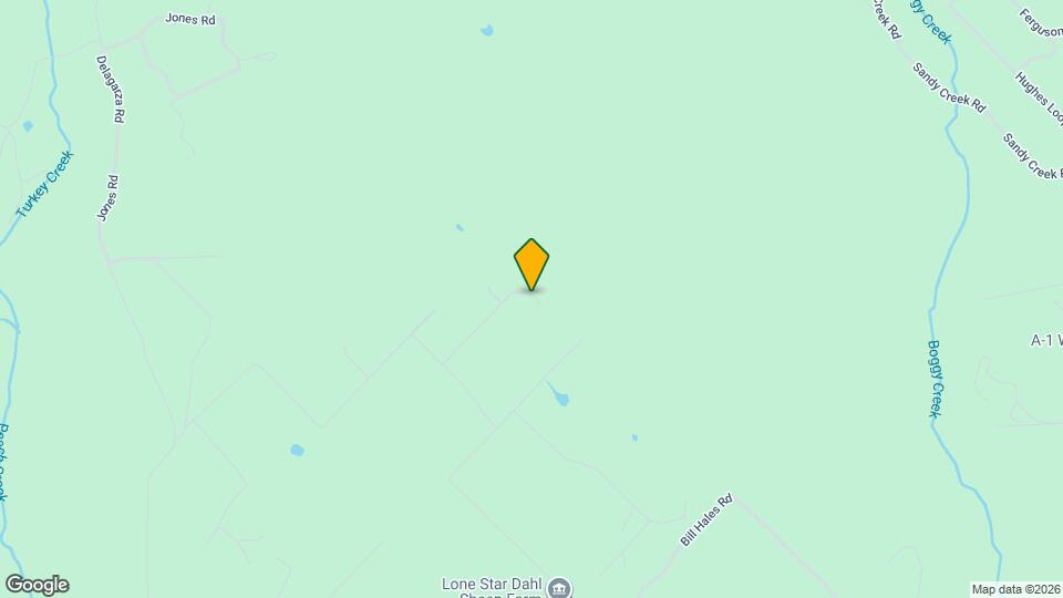 160 Frst Trce Ln Map and Location Details