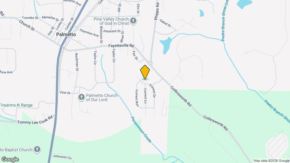 213 Forrest Dr Mapa y Detalles de la Ubicación