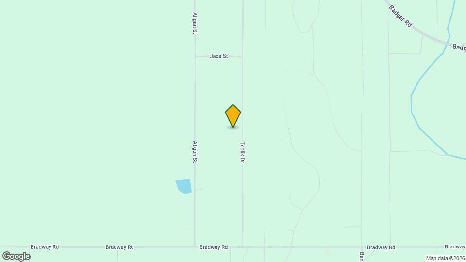 1295 Toolik Dr Mapa y Detalles de la Ubicación