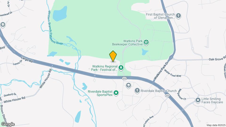 923 Pine Forest Ln Map and Location Details