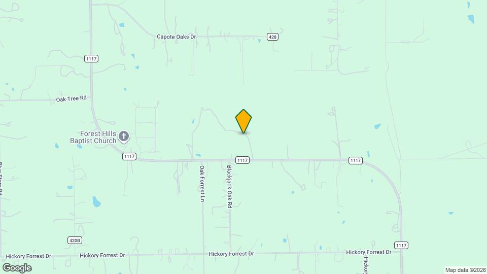 9031 FM1117 Map and Location Details