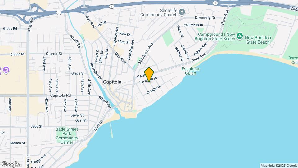 217 Oakland Ave Mapa y Detalles de la Ubicación