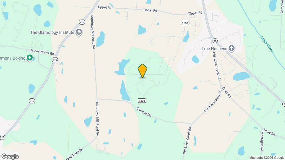 134 Blossom Fld Wy Mapa y Detalles de la Ubicación