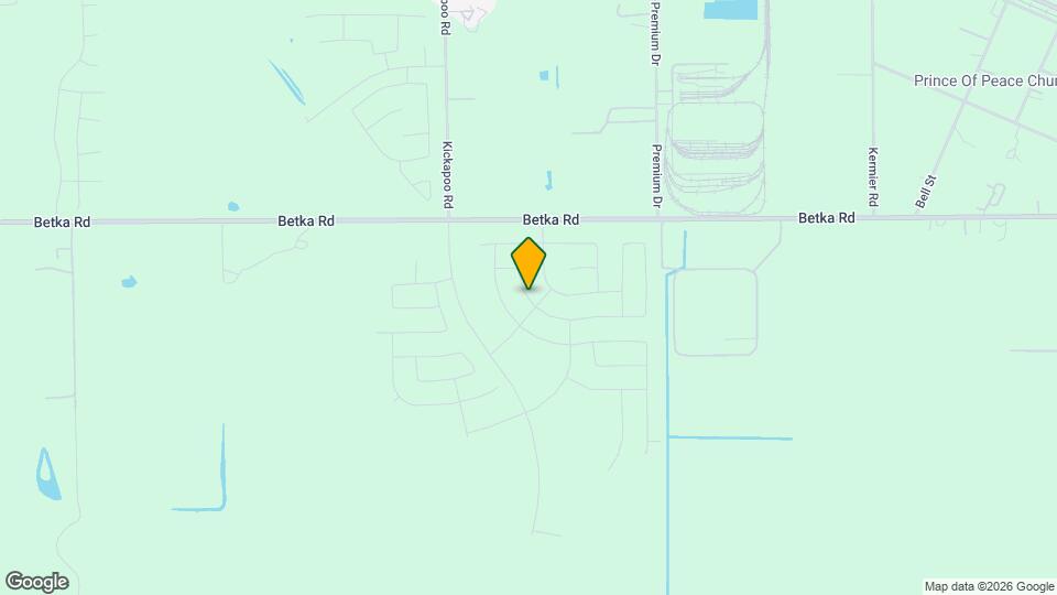 28910 Texas Sparrow Ln Mapa y Detalles de la Ubicación