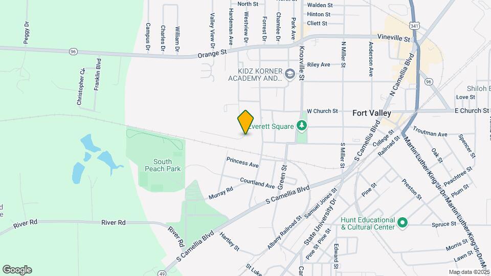 113 Ronald Pride Blvd Map and Location Details