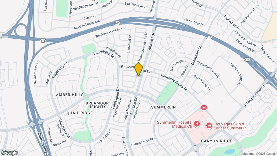 1316 Pintail Point St Map and Location Details