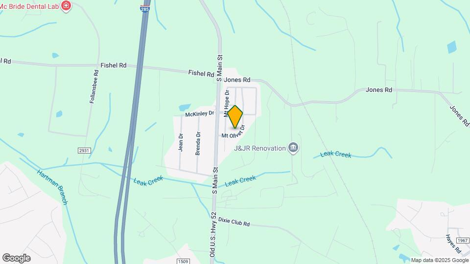 133 Mount Olivet Dr Map and Location Details