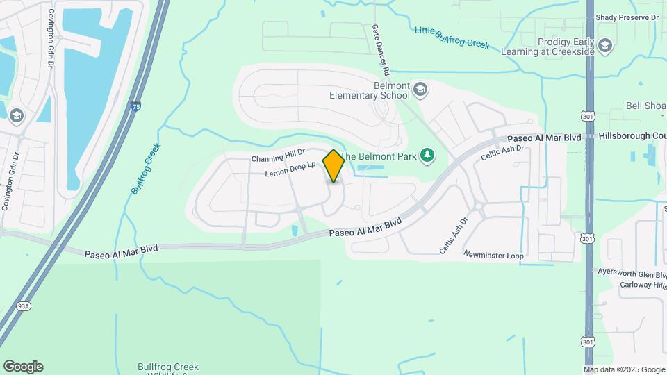 9708 Lemon Drop Lp Mapa y Detalles de la Ubicación