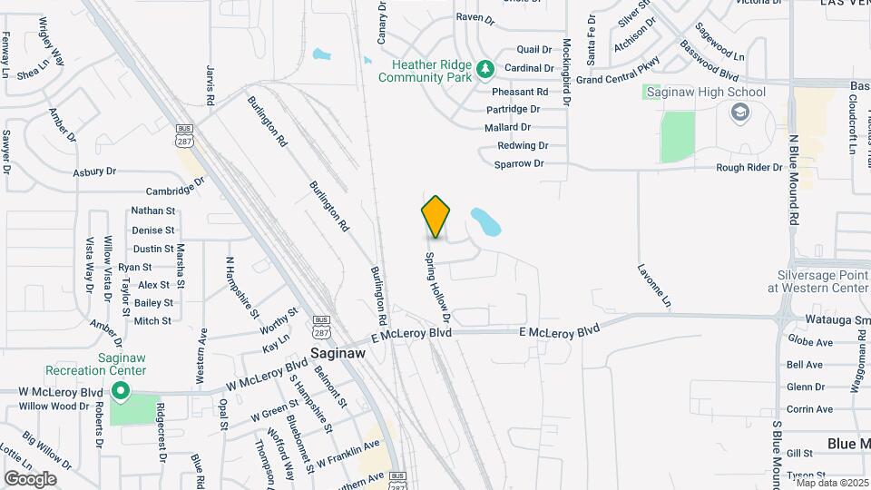 221 Spring Hollow Dr Map and Location Details