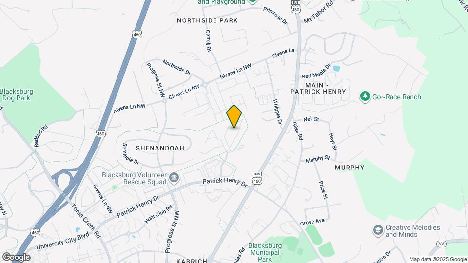 217 Janie Ln Map and Location Details