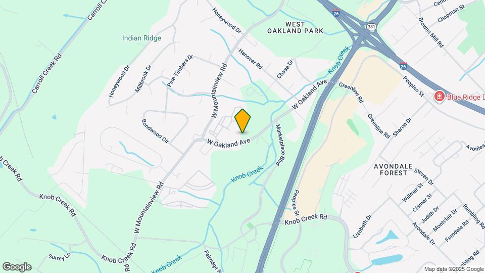 Vintage Johnson City Map and Location Details