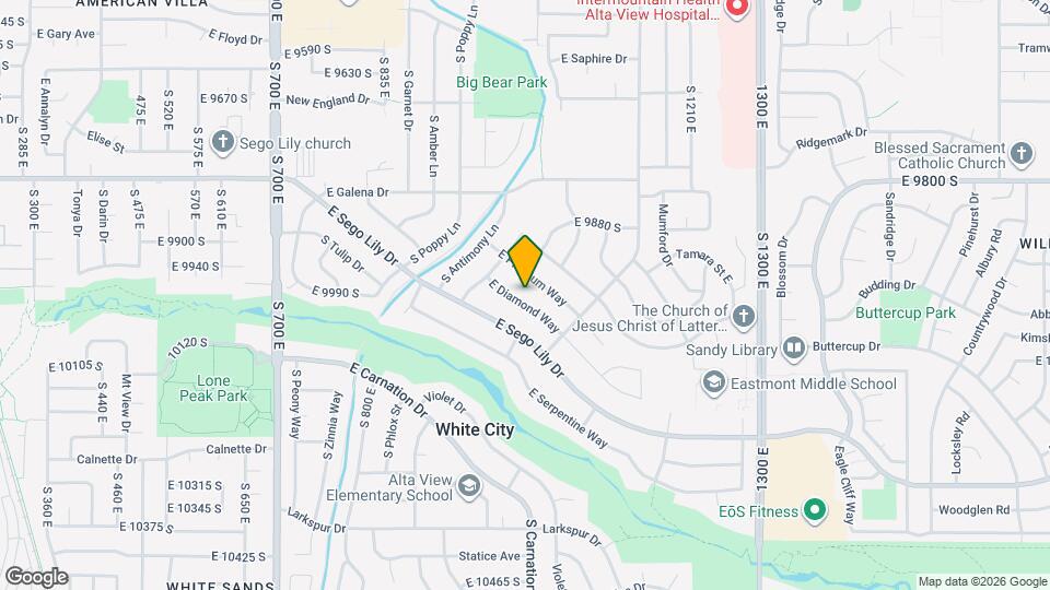 1005 E Diamond Way Map and Location Details