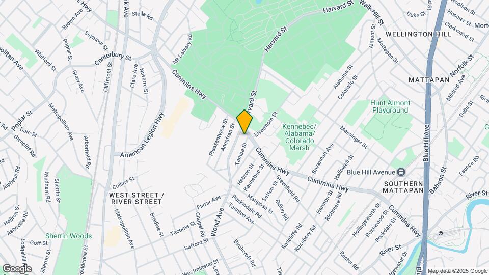 11 Tampa St Map and Location Details