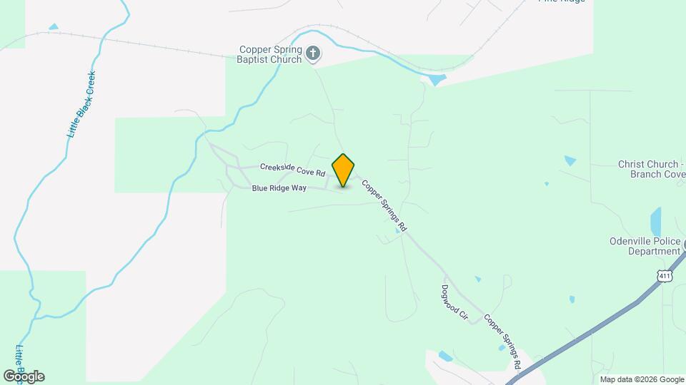 49 River Birch Ln Map and Location Details