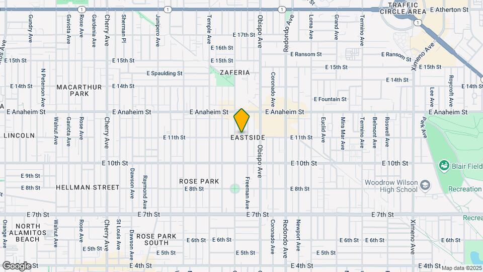 1101 FREEMAN AV Mapa y Detalles de la Ubicación