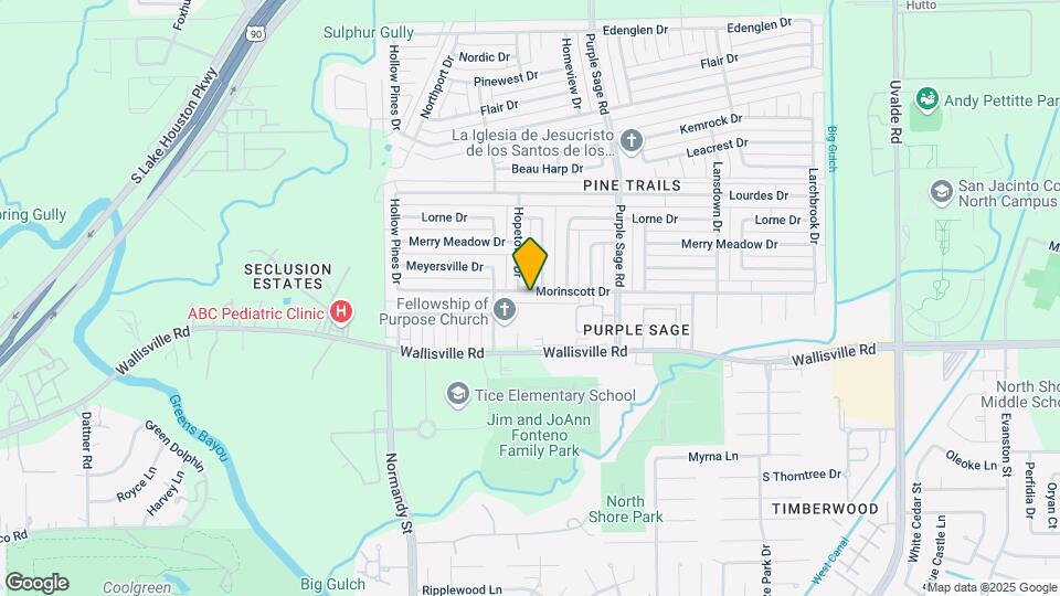 14226 Morinscott Dr Map and Location Details