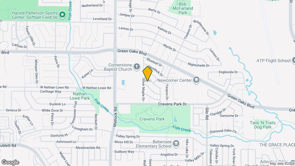 205 Ironbark Dr Mapa y Detalles de la Ubicación