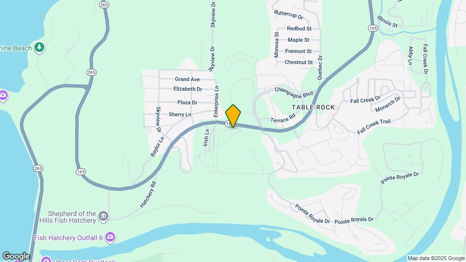 161 Avondale Dr Map and Location Details