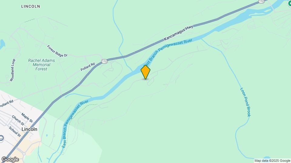 12 Yellow Birch Cir Map and Location Details