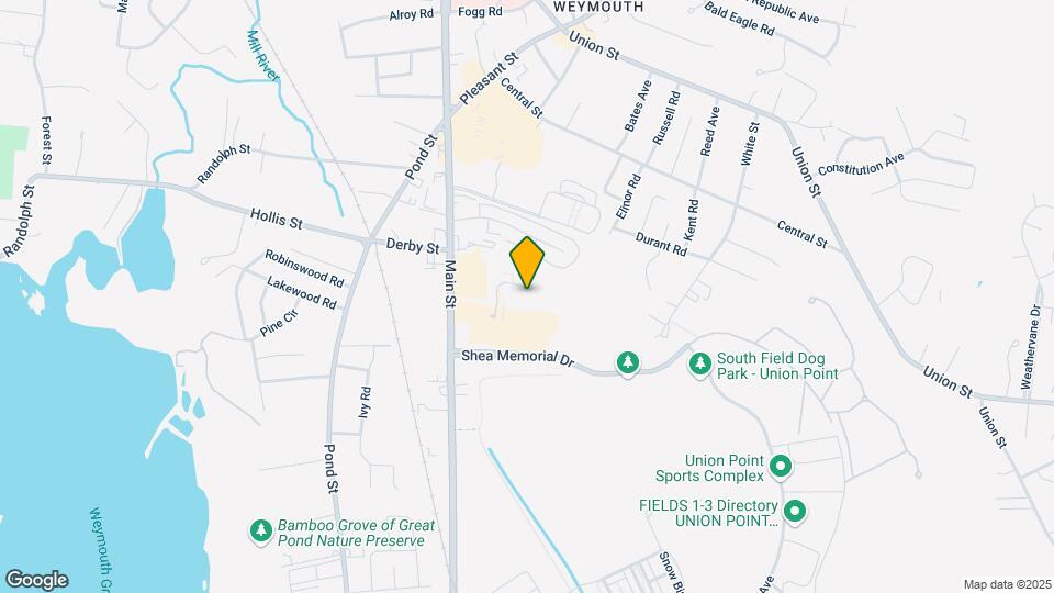 36 Greentree Ln-Unit -Apt 32 Map and Location Details