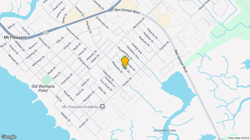 1473 Indian St Mapa y Detalles de la Ubicación