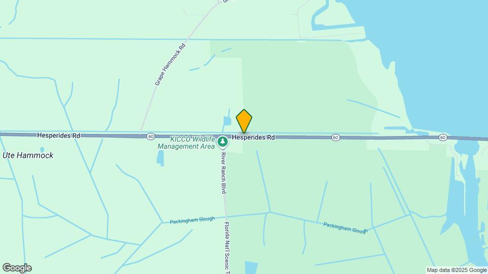 112 E Appaloosa Trail Map and Location Details